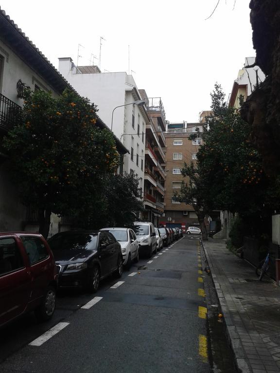 Apartmán New La Granada Exteriér fotografie